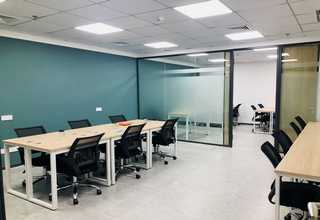 苏州室内盆栽菜基地送货上门